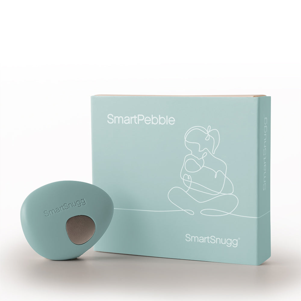 Mist SmartPebble