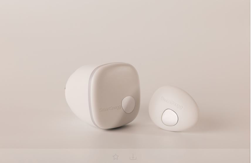 SmartBridge